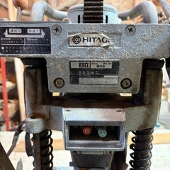 ヒタチ　角のみの画像