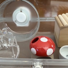 ハムスターケージの画像