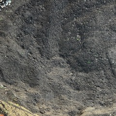 土  取り放題！  作物よく育ちます🌱‬‪🪏の画像