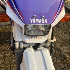 （受け渡し者決定）YAMAHA TT250R バイクの画像