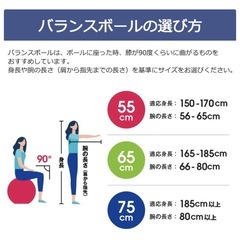 バランスボールの画像