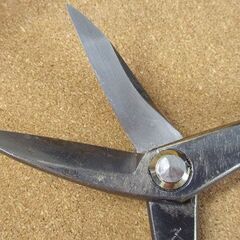 種光 はさみ スリム 柳刃240mm ステン用SLD 金切鋏 ツボタ 札幌市北区屯田の画像