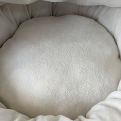 キャットあったかクッションの画像