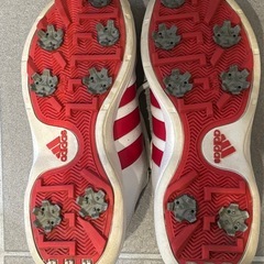 レディースゴルフシューズ　ソフトスパイク　24.5cm  adidasの画像