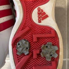 レディースゴルフシューズ　ソフトスパイク　24.5cm  adidasの画像