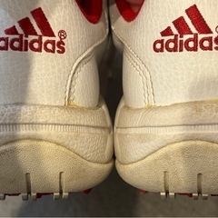 レディースゴルフシューズ　ソフトスパイク　24.5cm  adidasの画像