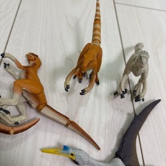 アニアまとめ売りの画像