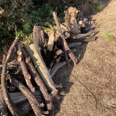 薪、又はキャンプ用燃料
の画像