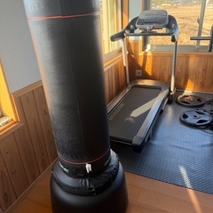 Century Torrent T1 トレーニングバッグ 自立式パンチバッグ 格闘技/ボクシング/カーディオワークアウト用 男女兼用の画像