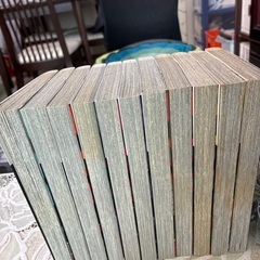 マンガ　アカギ　23巻から33巻の画像