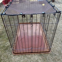 犬　ケージの画像