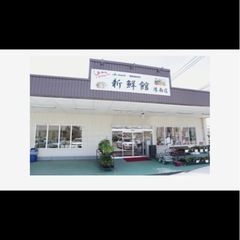 宇部市　メダカ　めだかの画像