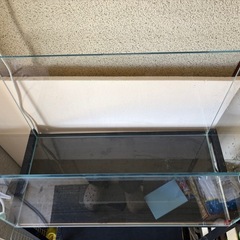 ADA 60cm 水槽の画像