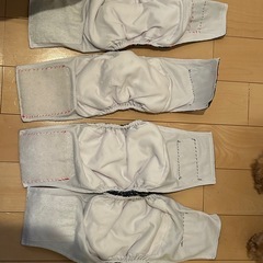 マナーベルトM男の子用4枚の画像