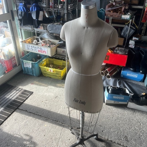 七彩　トルソー　