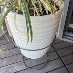 【0円・引き取り限定】大型植木鉢（高さ63cm／直径39cm）
の画像