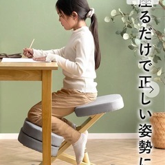 学習椅子　姿勢改善　プロポーションチェアの画像