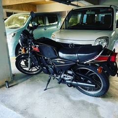 rz250   　の画像