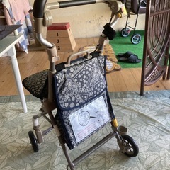 シニアカーの画像