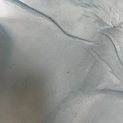 【お取引中⠀】カーペットの画像