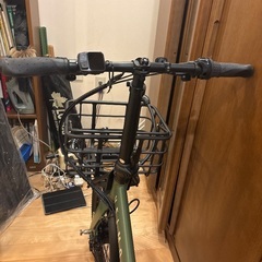 VELMO  PANORAMA フォレストグリーンの画像