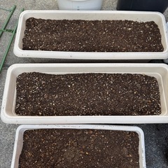 栽培土　植木鉢の画像