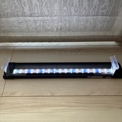 ニッソー　LEDライナーブラック600の画像