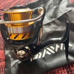 Daiwa ダイワ　レブロス2000 REVROSの画像