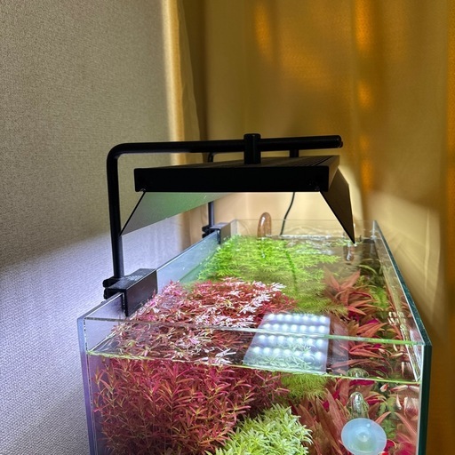 家具 Planted Aquarium
