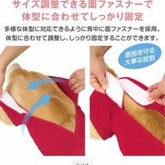 未開封　ペット用　エリザベスウェアの画像
