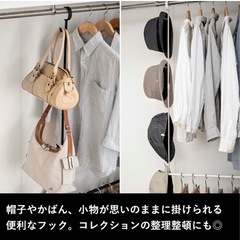 山崎実業2段ハンガーの画像