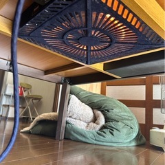 ニトリ　コタツ　毛布付きの画像