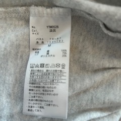 Tシャツ　　terawear emuの画像