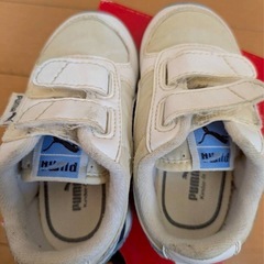 288. PUMA 子供　くつ　13cmの画像