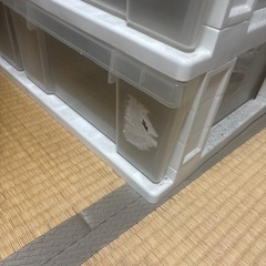 【USED品】押入れ収納ケースの画像