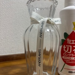 花瓶と栄養剤の画像