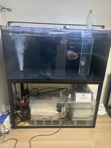 アクリル水槽 (🧊) 高松のその他の中古あげます・譲ります｜ジモティー