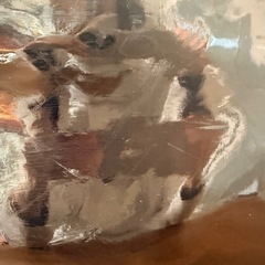 オールスター　スポーツバッグの画像