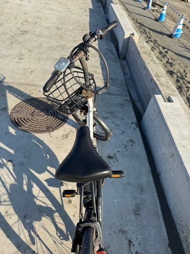 PELTECH  電動アシスト付き折りたたみ自転車