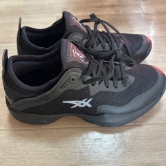 新品　バッシュの画像