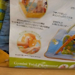 271. ジミニー　プレイマット　トータルプレイグラウンド　おもちゃなしの画像