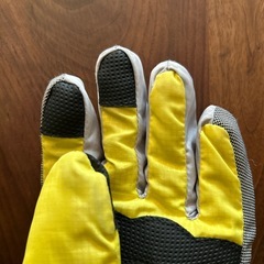 手袋 グローブ キッズ スキーの画像