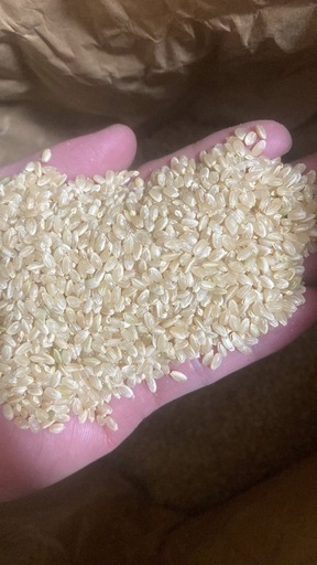 新米　彩のきずな　玄米　お米　30キロ