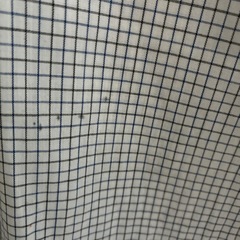 盈進中学　半袖ブラウス　M①の画像