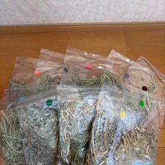 チンチラ用品もらってくださいの画像