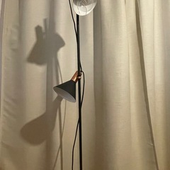 お譲り先決まりましたの画像