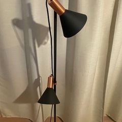 お譲り先決まりましたの画像