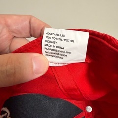 ディズニーランドパリ帽子の画像