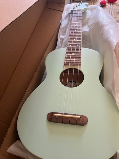 MORRIS W-20 1975年 ペグ交換 状態良 Morris W-23 1969年製