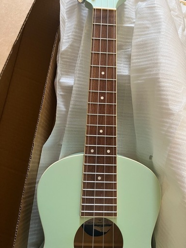 月末価格】レリック加工 ミントグリーンエレキギター 販売 ミント